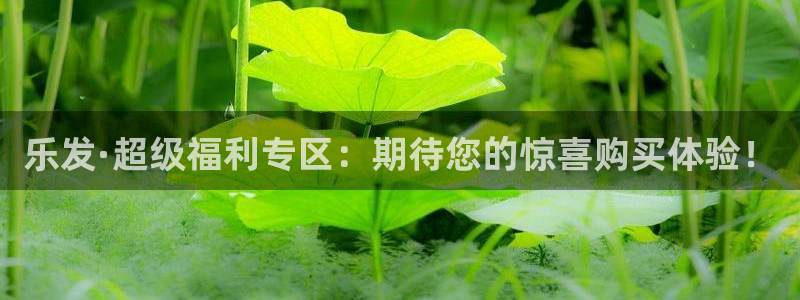 k8凯发官网