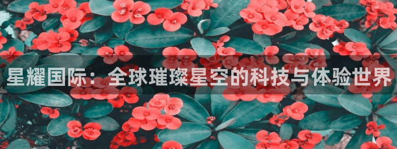 凯发k8娱乐官网app下载