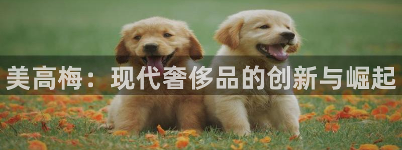 k8凯发·娱乐(中国)首页登录入口