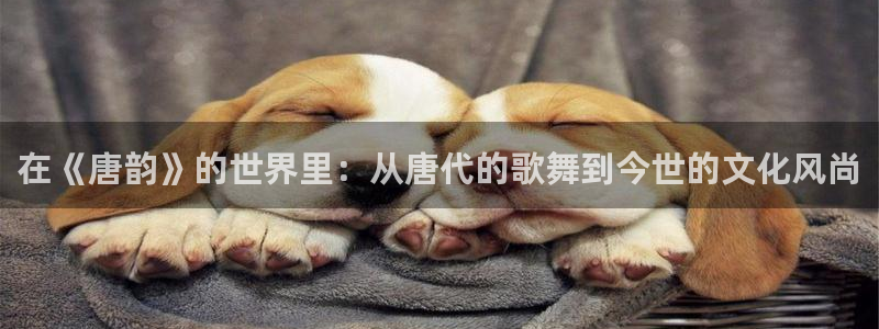 凯发k8旗舰平台
