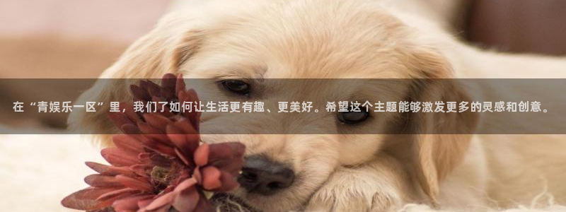 凯发k8旗舰平台