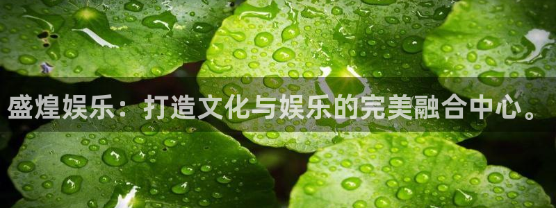k8凯发(中国)