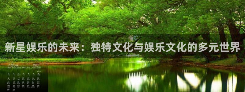 凯发k8娱乐：新星娱乐的未来：独特文化与娱乐文化的多元世界