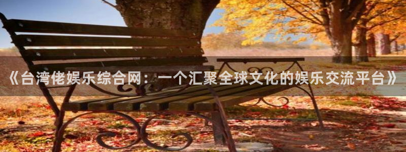 k8凯发·(中国)天生赢家·一触即发：《台湾佬娱乐综合网：一个汇聚全球文化的娱乐交流平台》