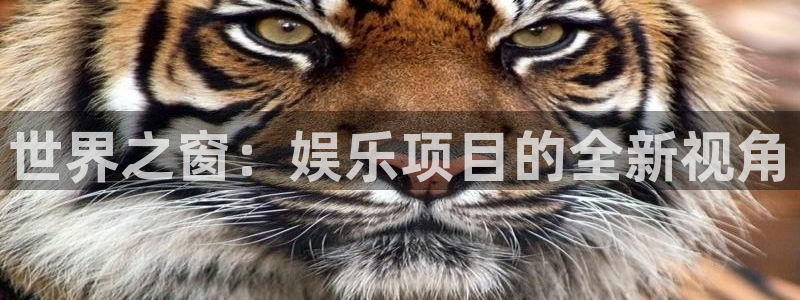k8凯发·天生赢家：世界之窗：娱乐项目的全新视角