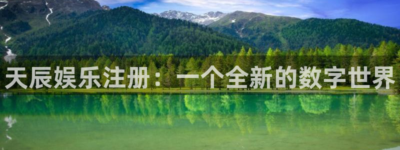 k8凯发(中国)：天辰娱乐注册：一个全新的数字世界