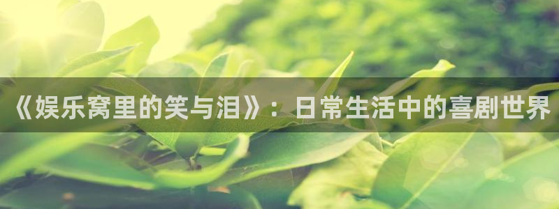k8凯发·娱乐(中国)首登陆：《娱乐窝里的笑与泪》：日常生活中的喜剧世界