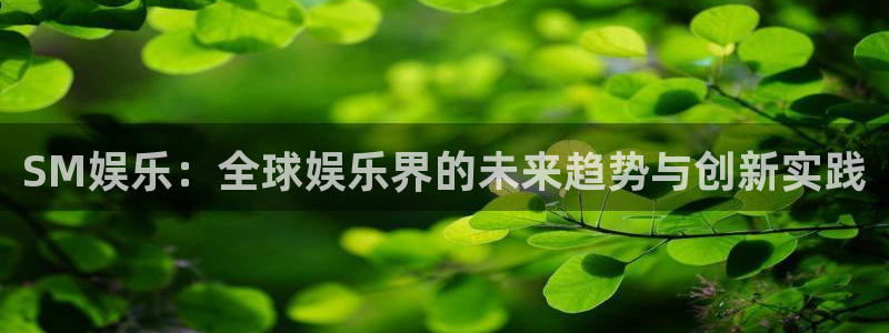 k8凯发赢家一触即发攻略：SM娱乐：全球娱乐界的未来趋势与创新实践