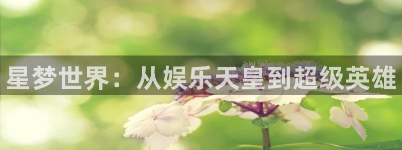 凯发k8娱乐官网下载：星梦世界：从娱乐天皇到超级英雄
