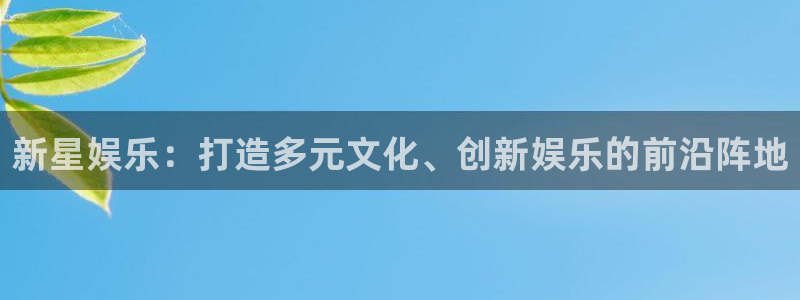 k8凯发官网入口：新星娱乐：打造多元文化、创新娱乐的前沿阵地