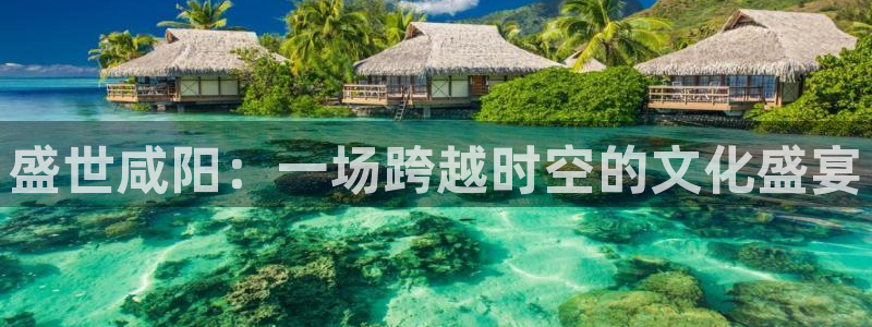 凯发k8娱乐官网下载：盛世咸阳：一场跨越时空的文化盛宴
