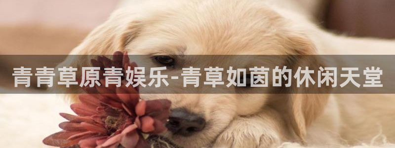 k8凯发官方手机版官网下载：青青草原青娱乐-青草如茵的休闲天堂