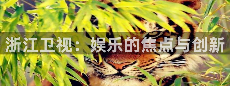 k8凯发免费版官网：浙江卫视：娱乐的焦点与创新