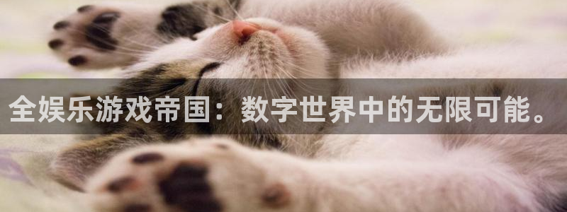 k8凯发天生赢家：全娱乐游戏帝国：数字世界中的无限可能。