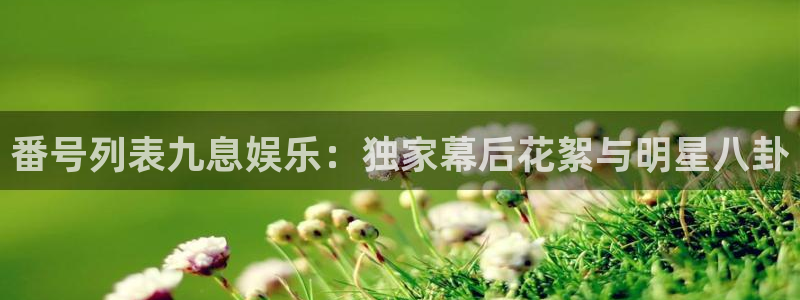 k8凯发官方手机版官网：番号列表九息娱乐：独家幕后花絮与明星八卦